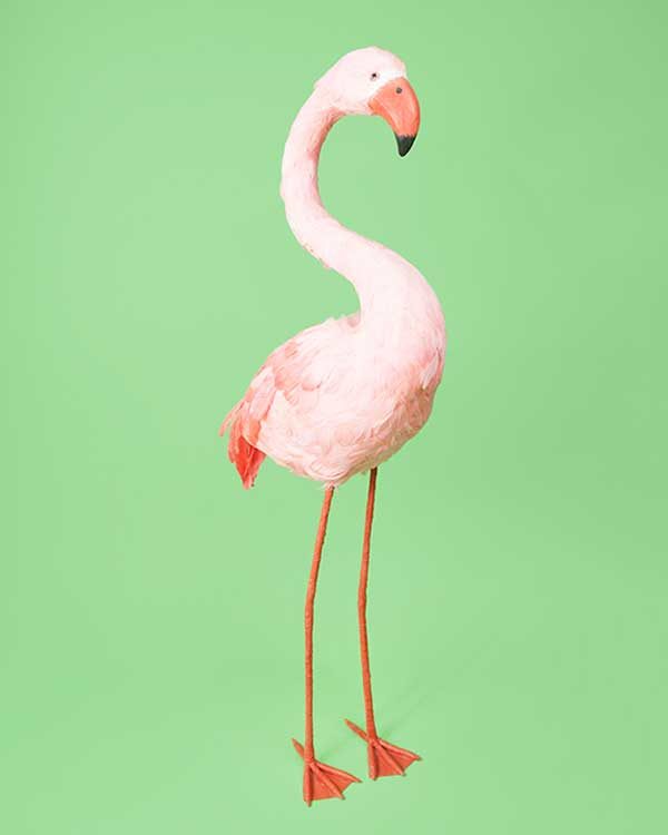 Decorative flamingo