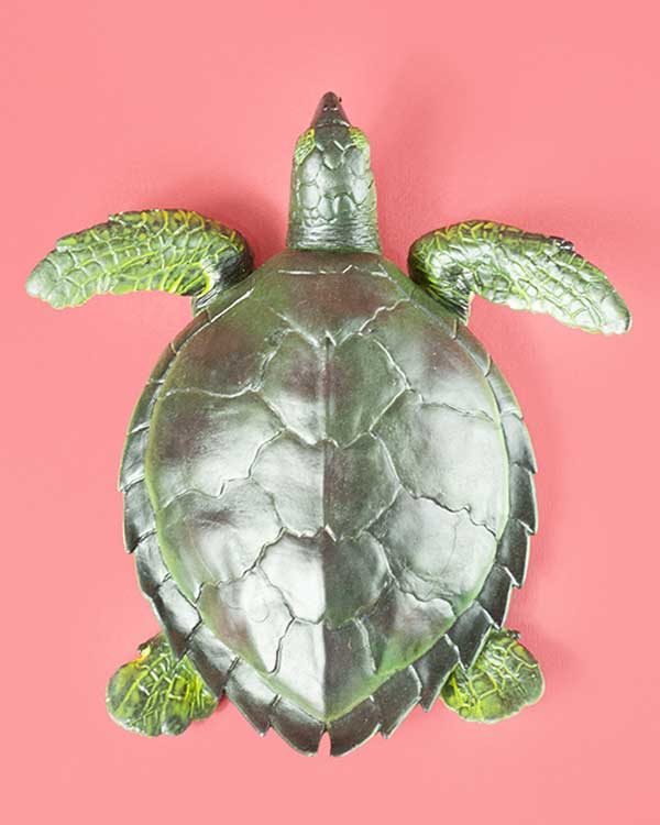 Novelty Plastic Turtle