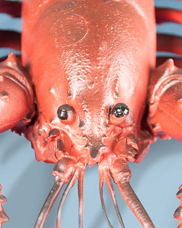 Novelty Plastic Lobster Large