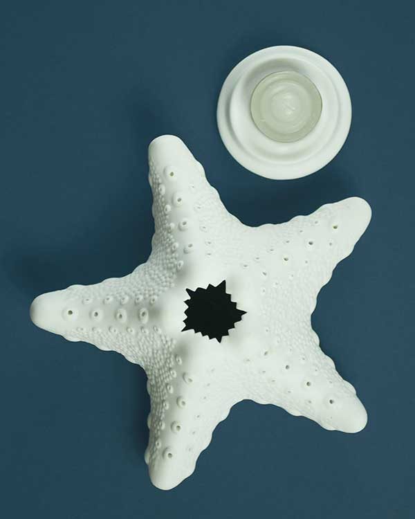Star fish tea light holder