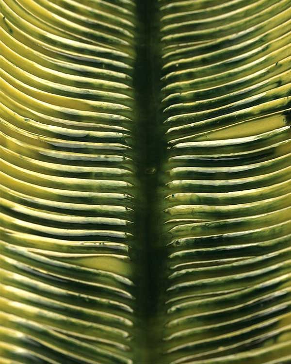 Tropical Leaf Shaped Ceramic Serving Dish Green