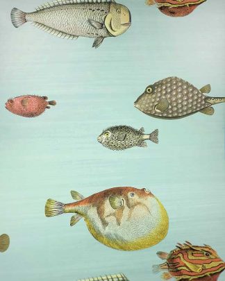 Cole and Son wall paper - Puffa Fish