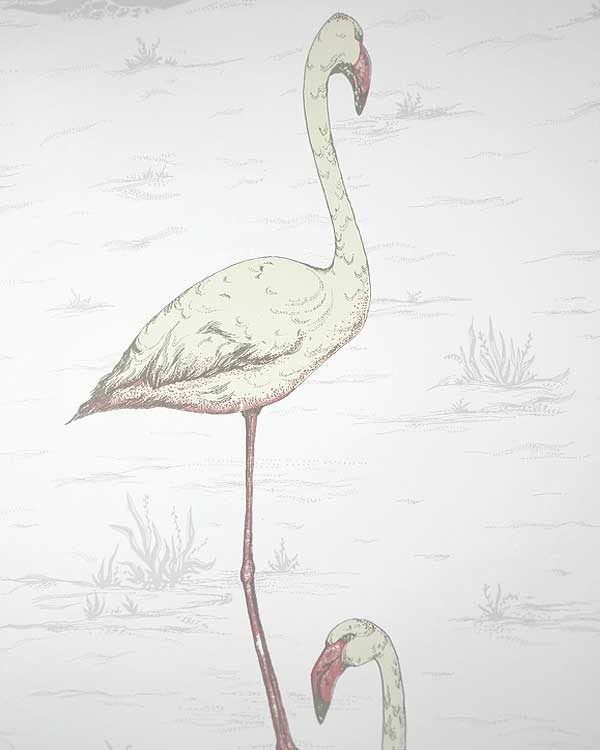 Cole and son flamingo wall paper