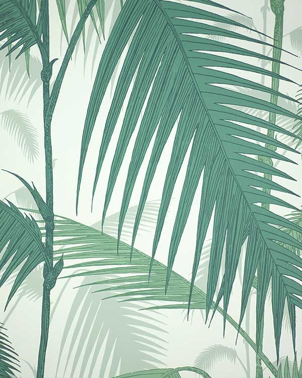 Cole and son palm tropical wall paper