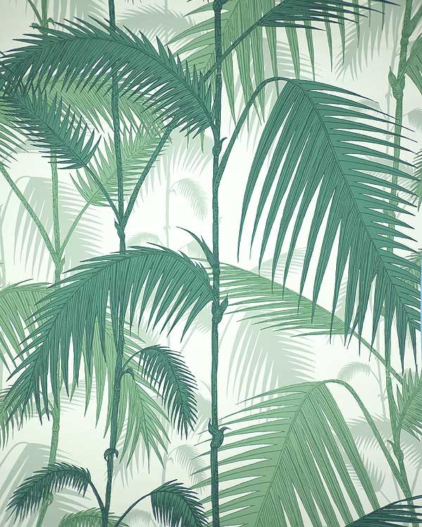 Cole and son palm tropical wall paper