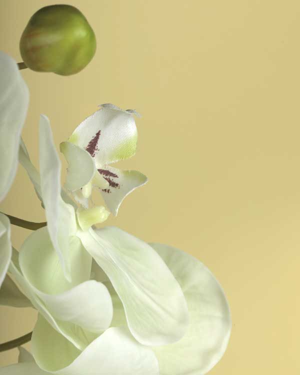 Artificial Orchid Stem