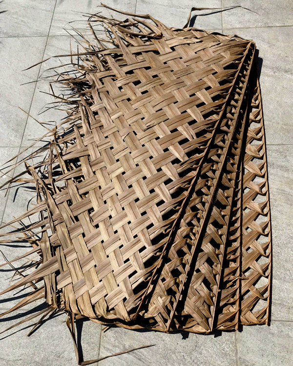 Coconut Palm Thatch Detail Shot