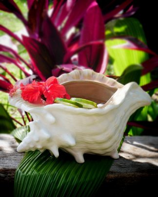 Conch Shell sharing bowl