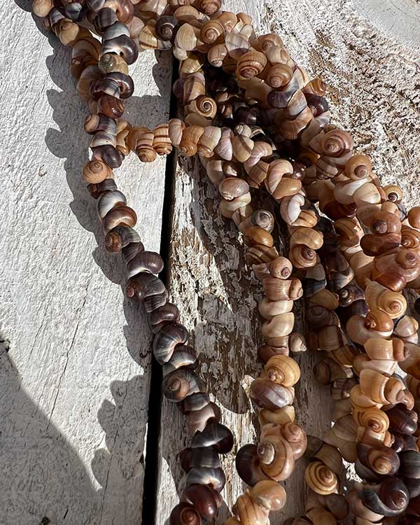 MINI SHELL LEI WEB 6