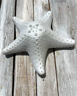 STARFISH LIGHT TOP VIEW